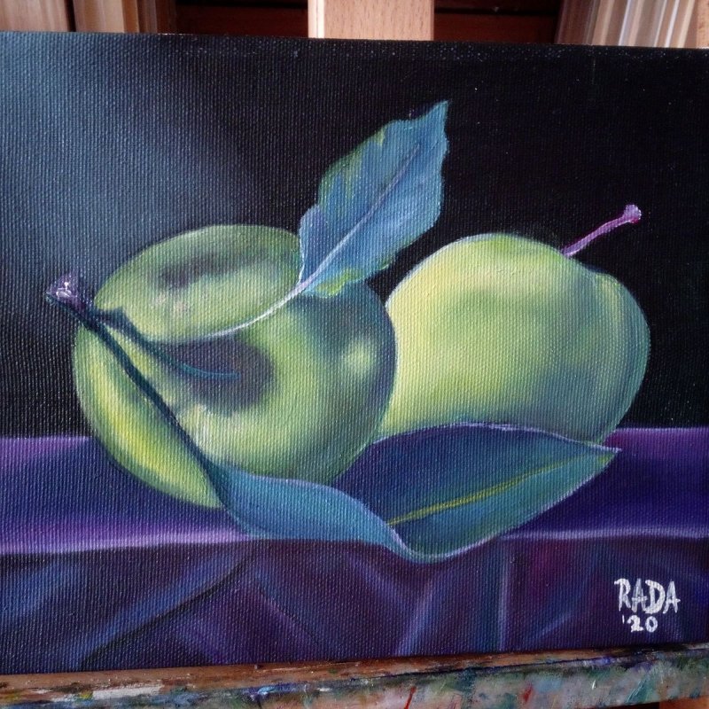 Apple, Painting Stevanović Rada
