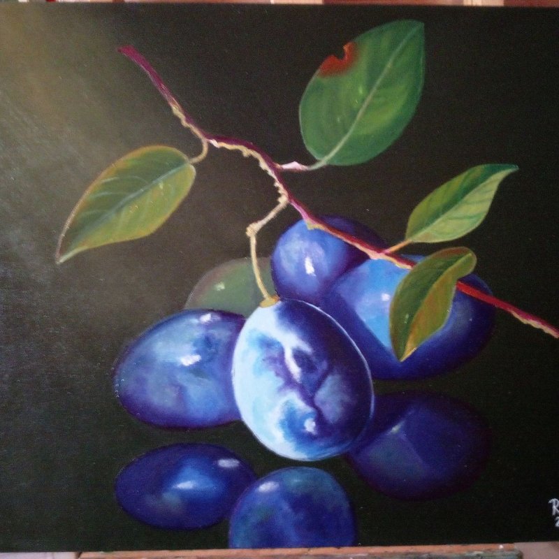 Plum, Handicraft Stevanović Rada