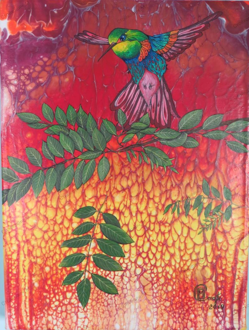 Kolibri 2, Slika Stojkovic Brylina Marija
