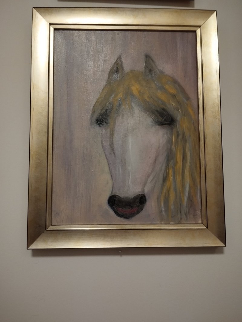 Horse, Painting Markovic Branka
