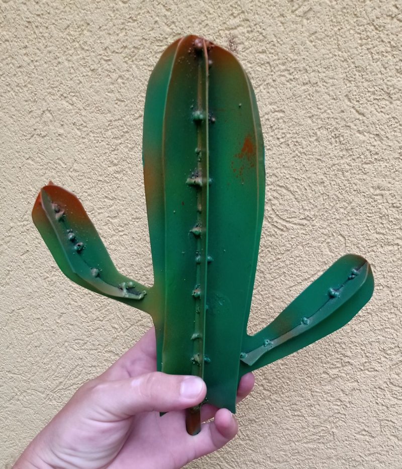 Cactus, Sculpture Obradović Stefan