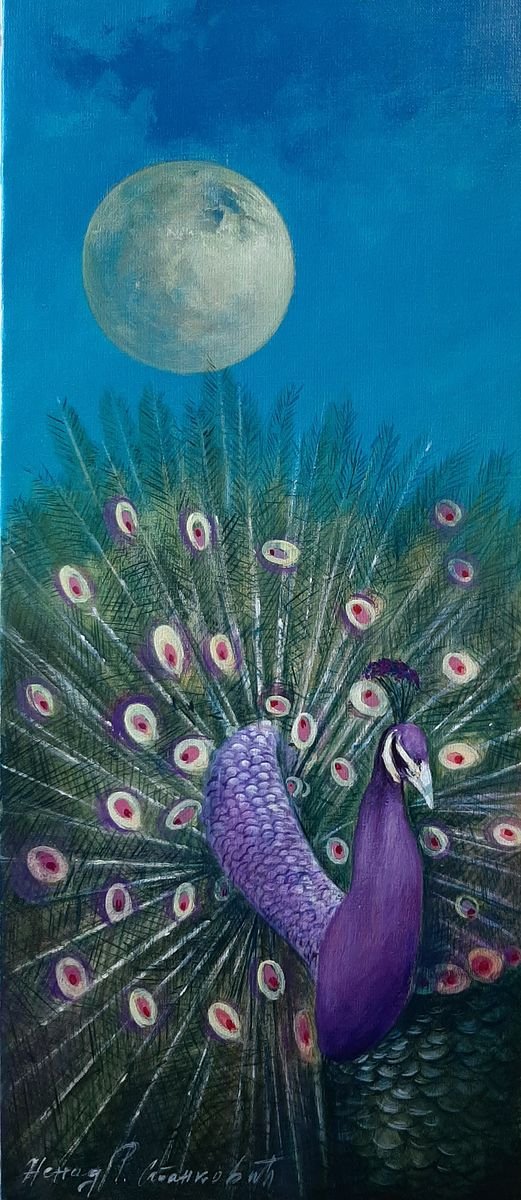 Peacock, Painting Stankovic Nenad