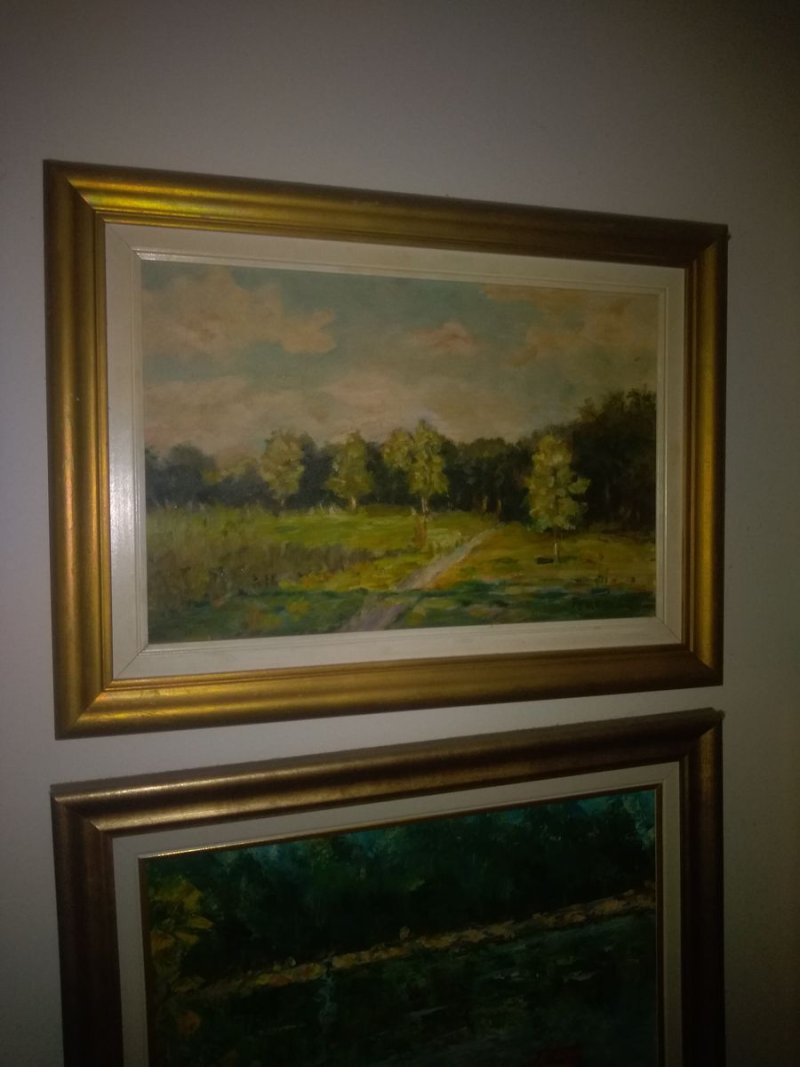 Breze, Slika Trkulja Zorica