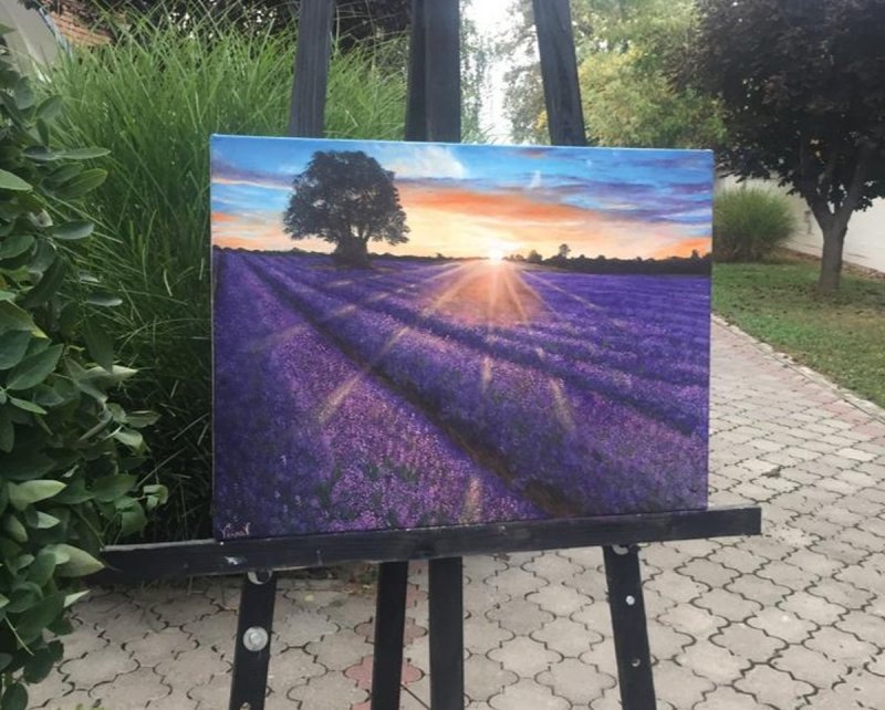Lavender field, Painting Vujinovic Vesna