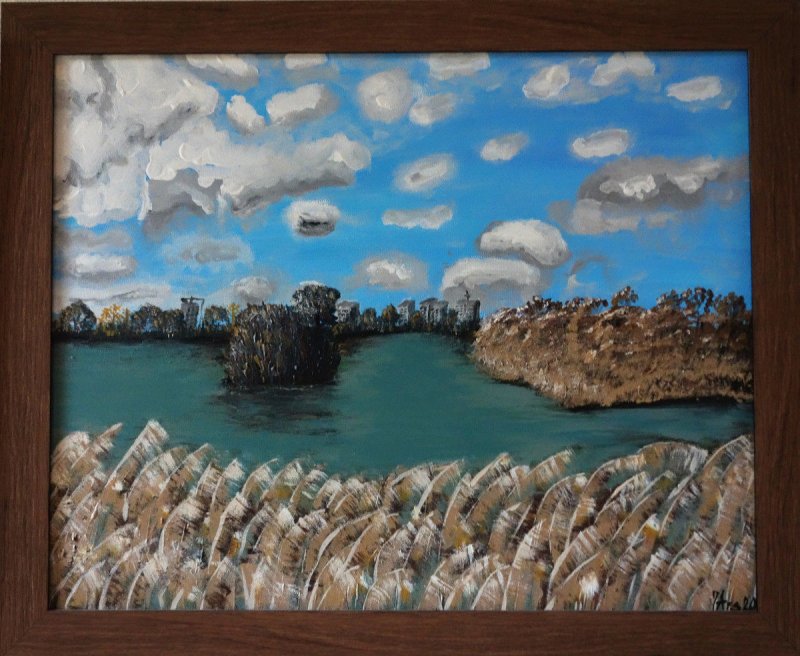 The confluence of the Sava into the Danube, Painting Arsenović Jelena