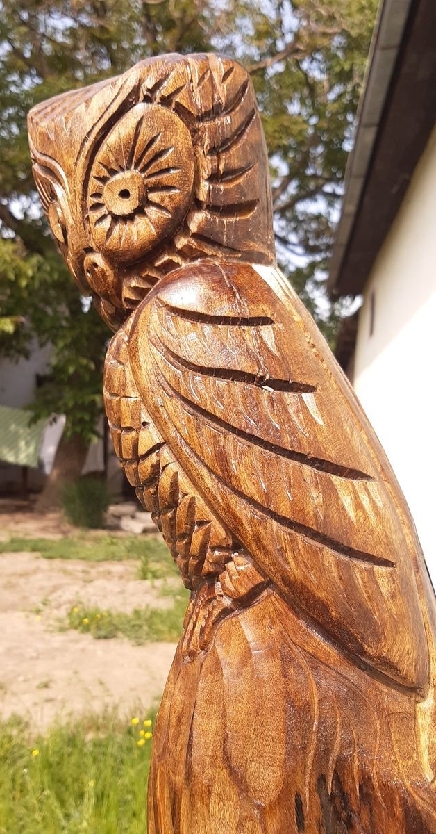 Sova | Rucni rad | Rezbareno| Duborez - Crvena vrba, Sculpture Klipa Goran