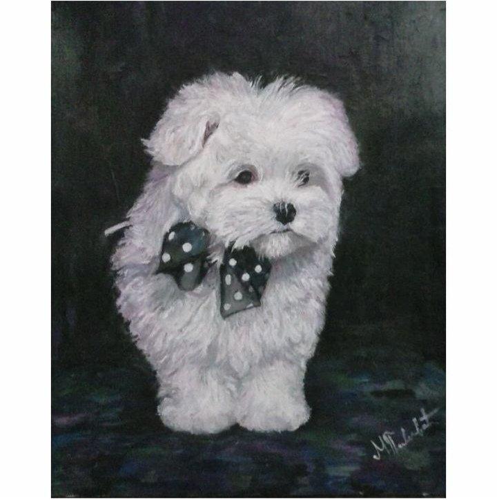 Maltese, Painting Pavlovic Milica