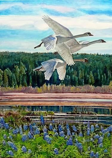 Swans