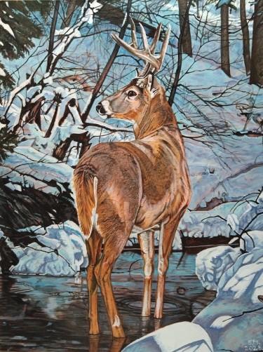 Deer in the snow