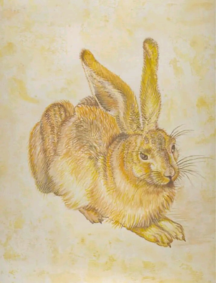 YOUNG HARE, Painting Kostic Jovica
