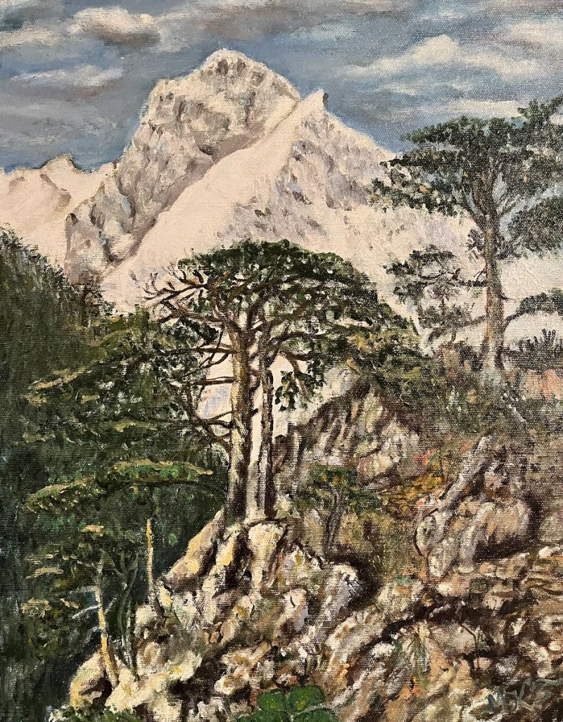 Pogled sa Tare, Painting Kalendarova Barbulov Mitana