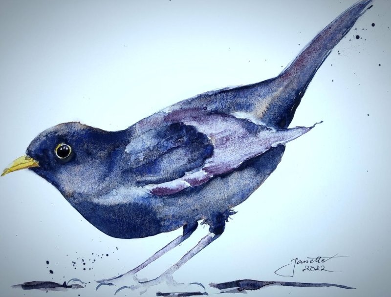 Blackbird, Painting Godnič Bakoš Žanet