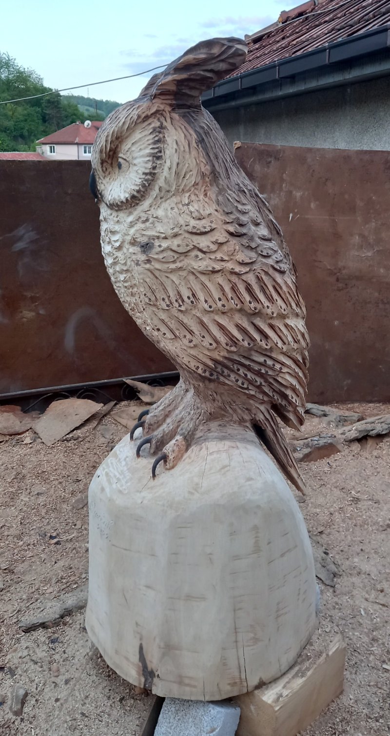 Sova, Skulptura Radojica Puzovic
