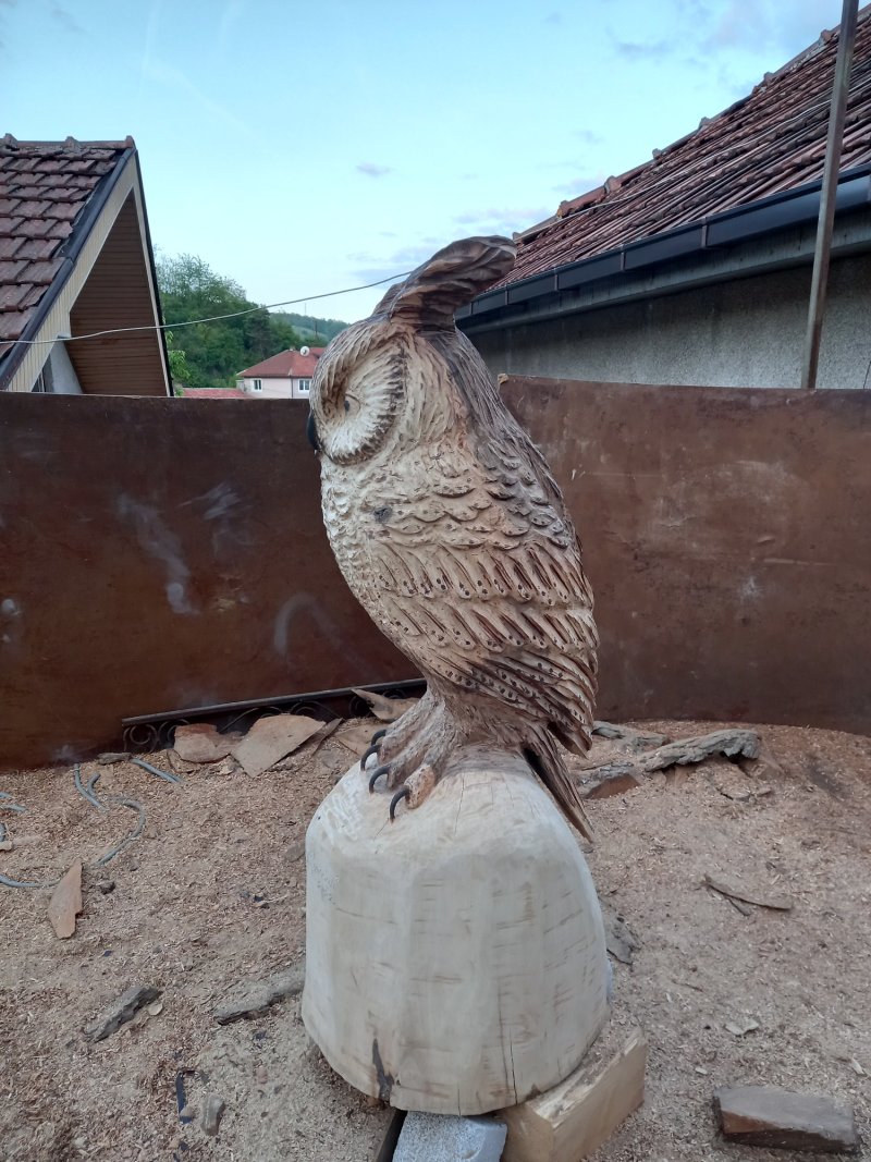Sova, Skulptura Radojica Puzovic