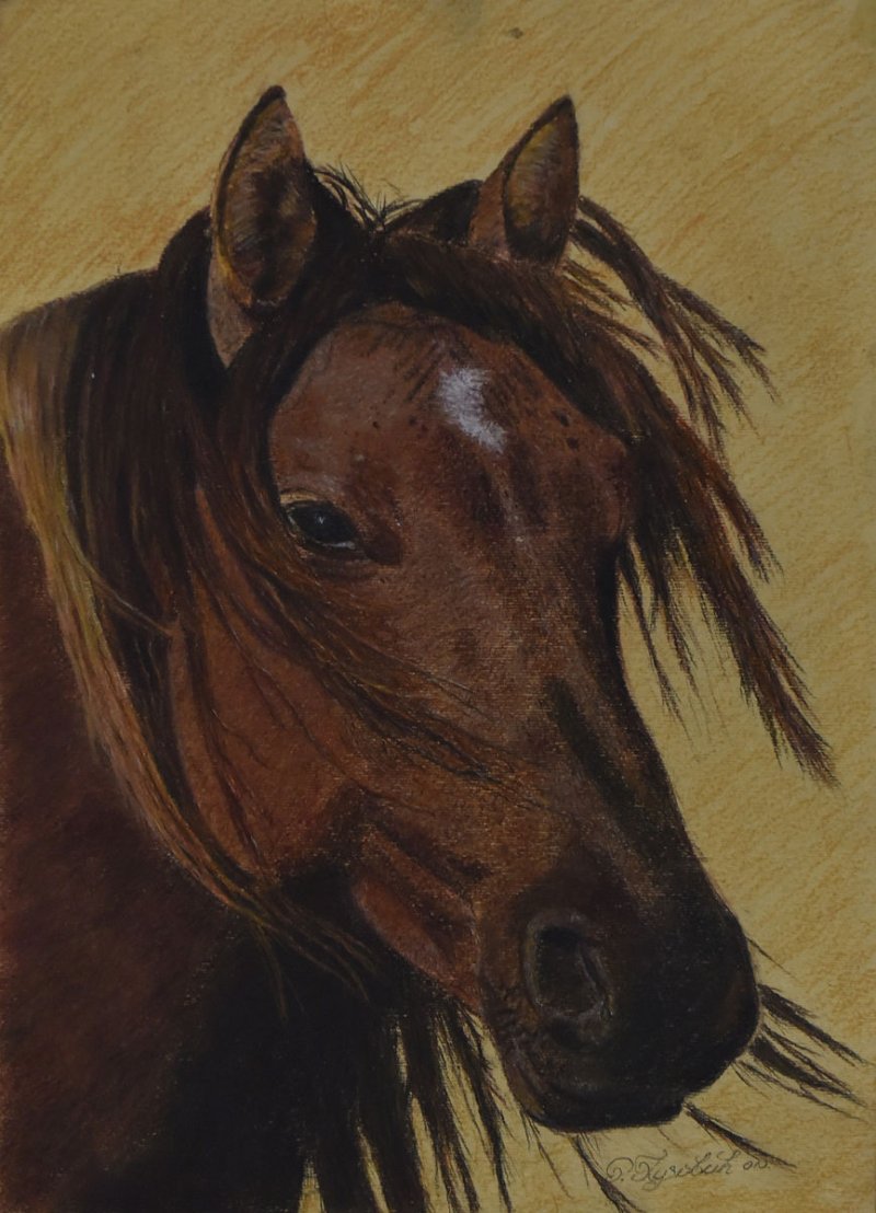 Lepotan, Painting Radojica Puzovic