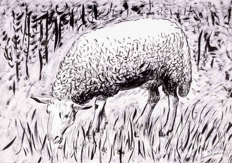 Sheep, Drawing Simovic Jovan