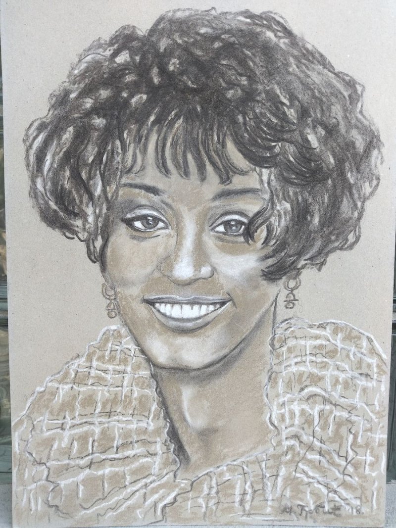 Vitni Hjuston, Drawing Grbić Mirjana