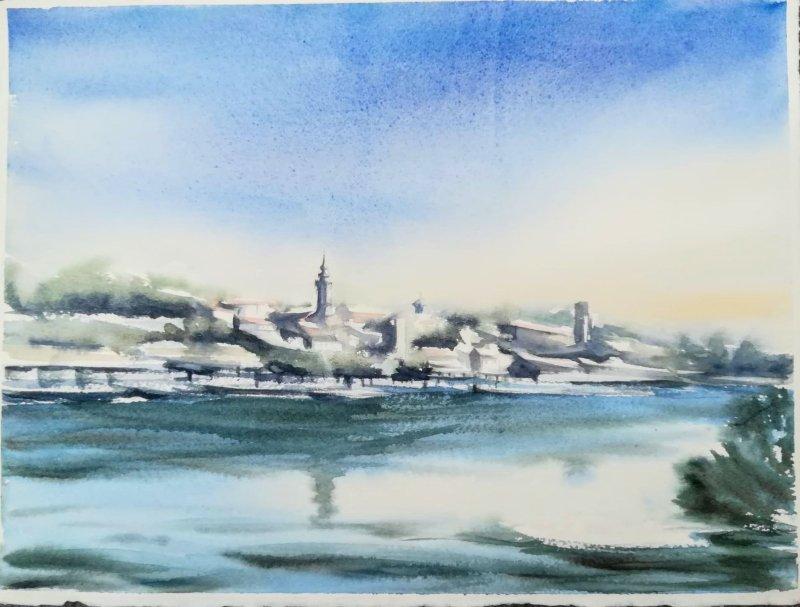 Zemun2, Slika Danica Živković