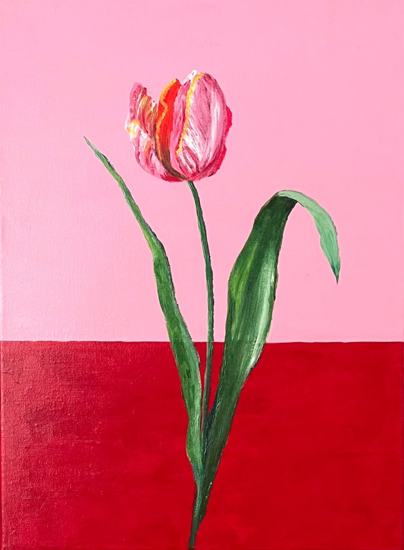 Tulip, Painting Lanter Anna
