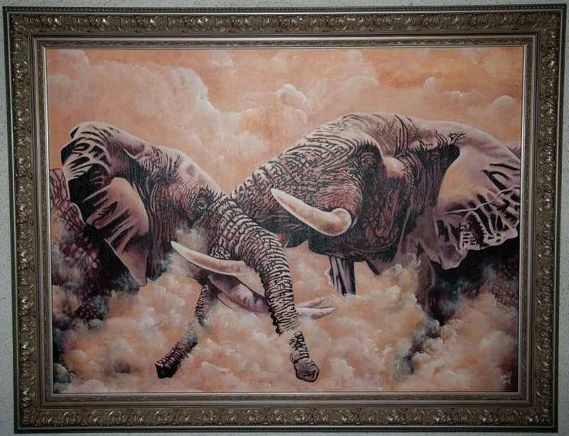 sudar divova, Slika exotic gallery