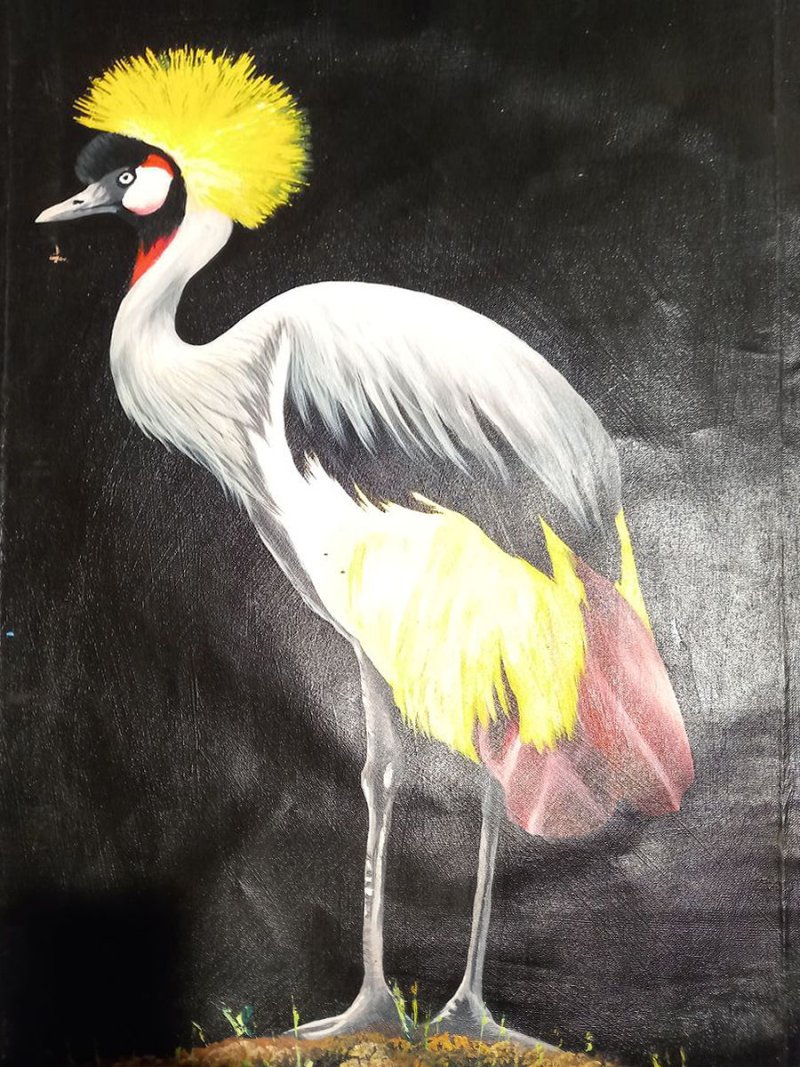 grey crowned crane, Painting exotic gallery