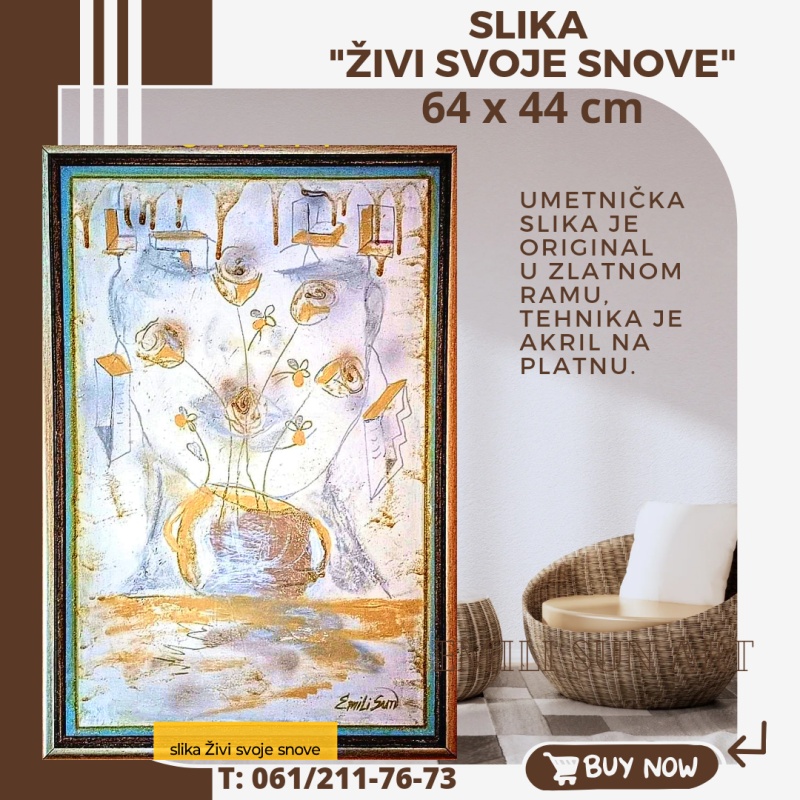 Zivi svoje snove, Slika Emili Sun