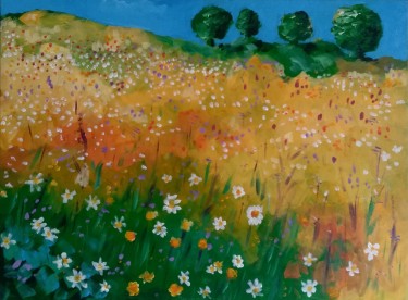 Meadow
