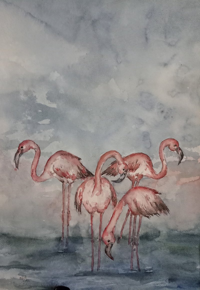 Flamingosi, Slika Janković Olga