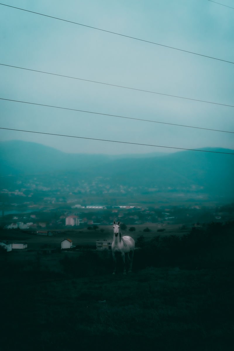 Buđenje, Photography Vasic Nikolina