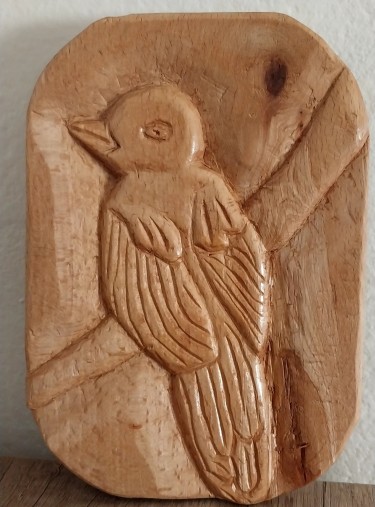 A bird on a branch