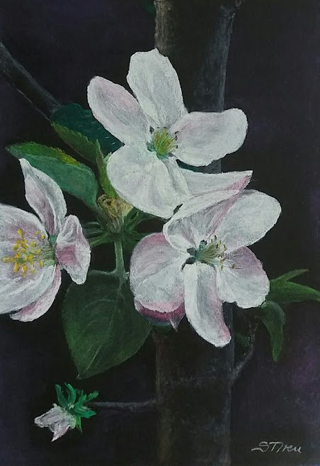 Spring magic, Painting Iren Sefcic Takac