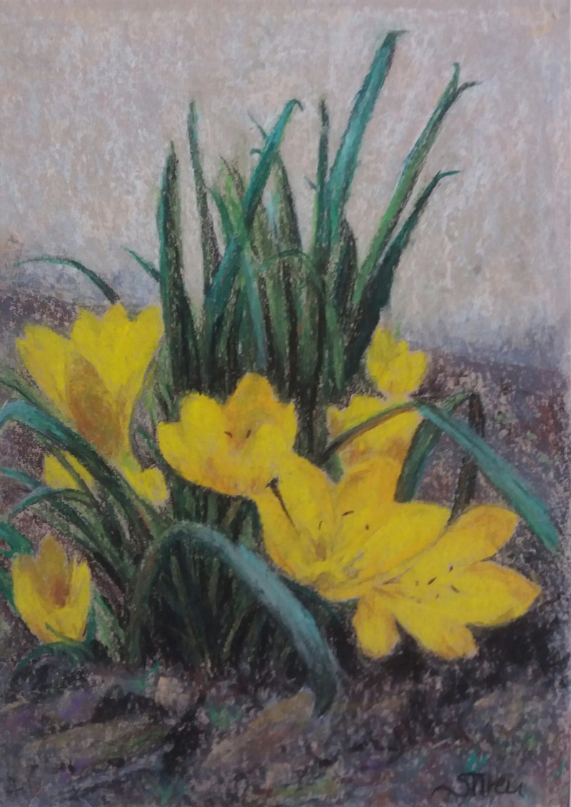 Crocuses, Painting Iren Sefcic Takac