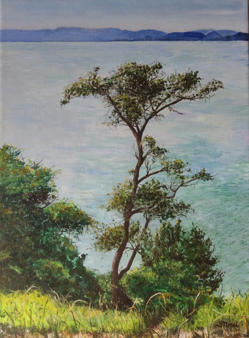 Who has created the trees, the heavens, the earth and the waters..?