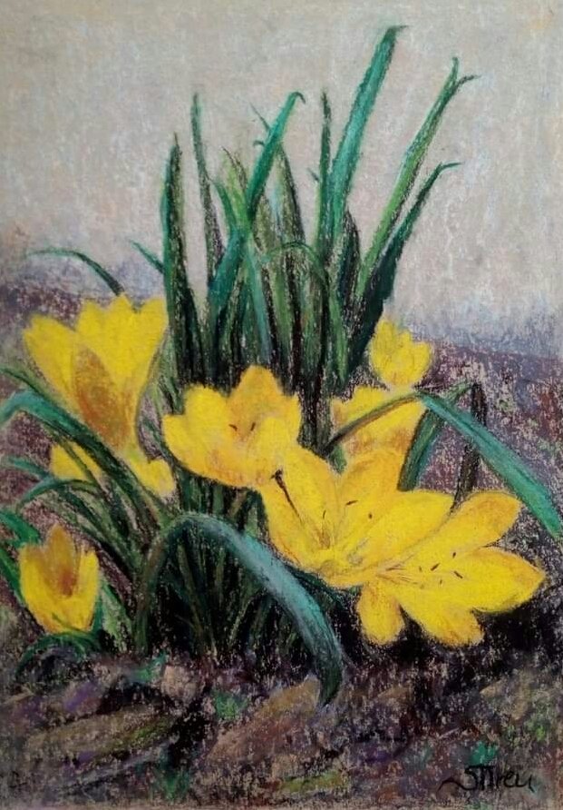 Crocuses, Painting Iren Sefcic Takac