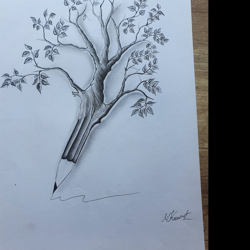 Drvo, Crtež Ljiljana Kostic