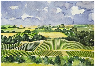 VINOGRAD