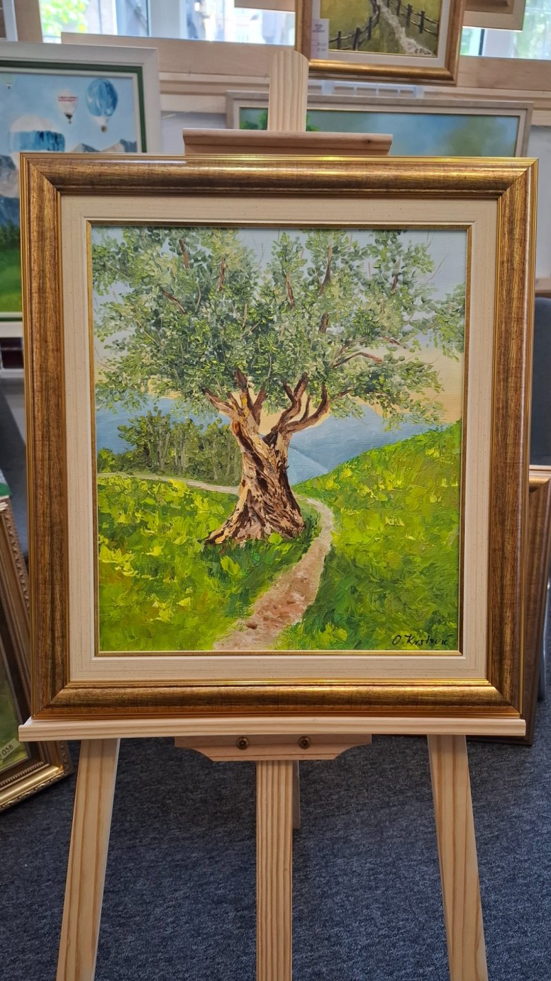 Olive tree, Painting Olivera Krstovic