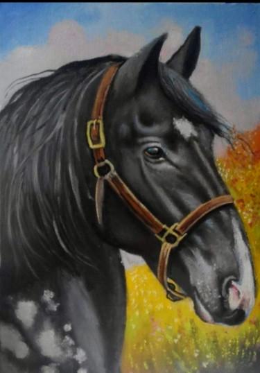 Black horse
