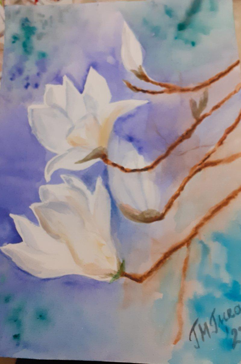 White magnolia