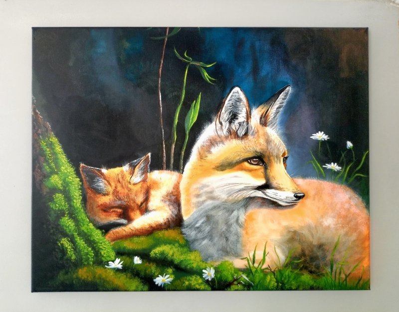 Quiet forest
