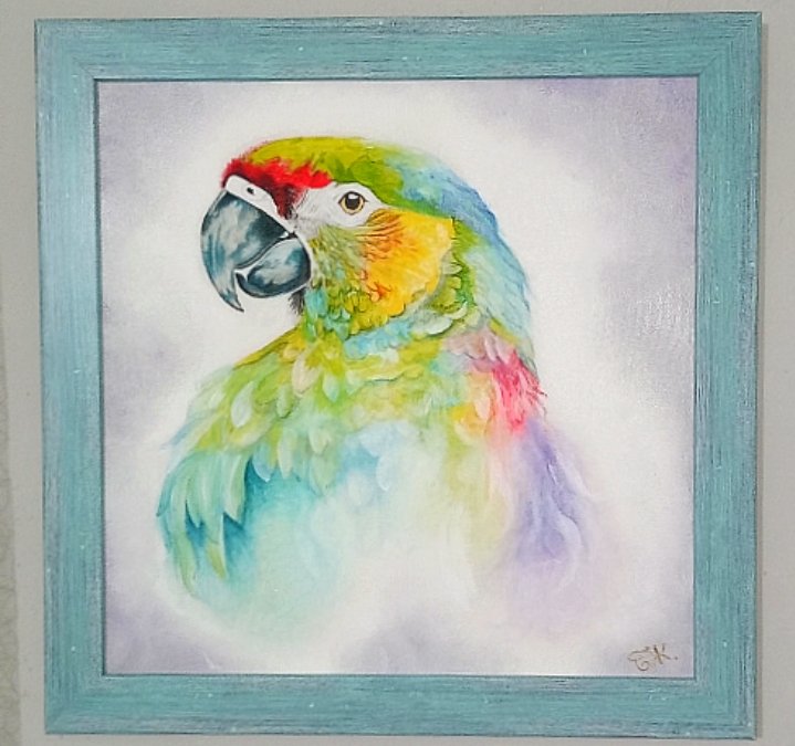 The parrot, Painting Brankica Žuržulj