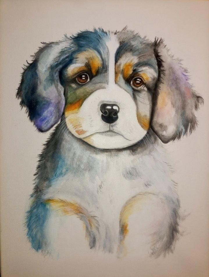 Dog, Painting Brankica Žuržulj