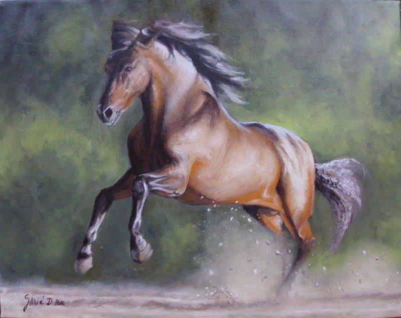 Horse- oil on  canvas 40x50cm