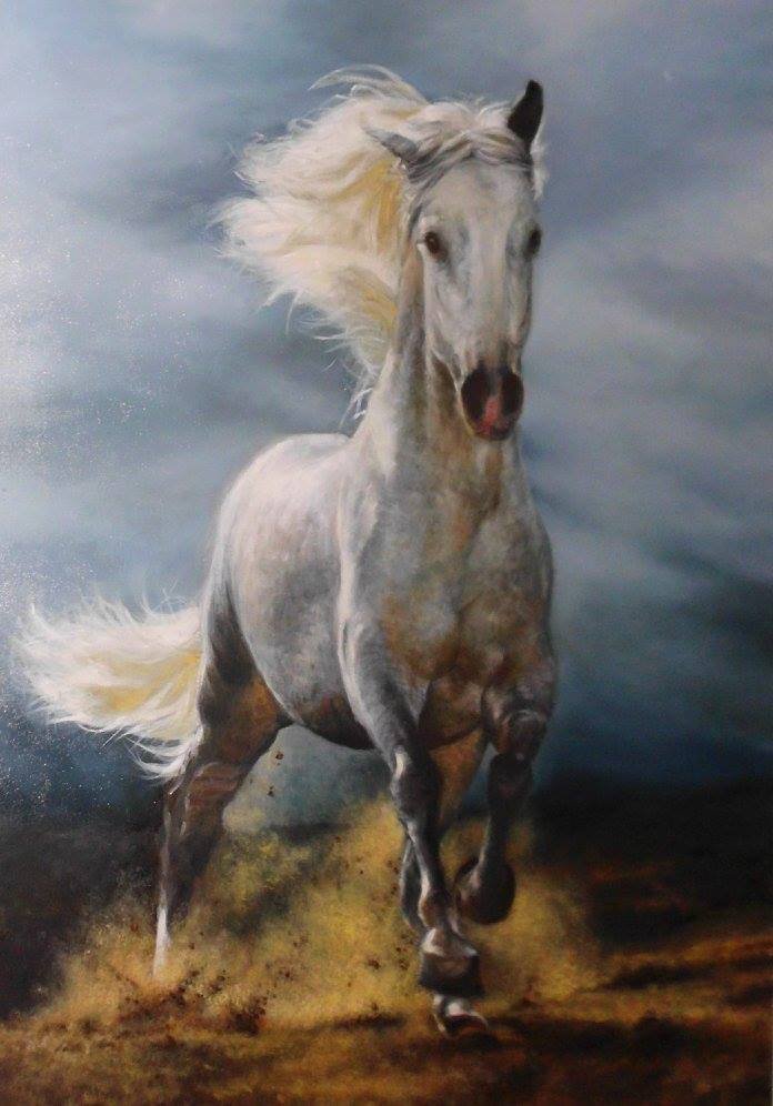 Horse- oil on  canvas 60x80cm