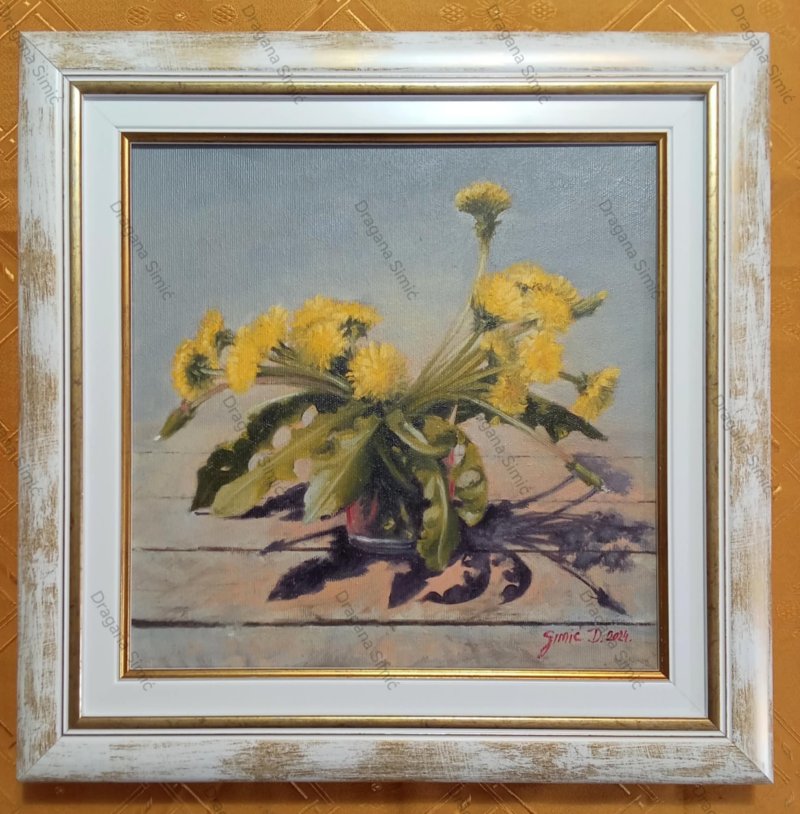 Dandelions- frames oil on canvas 41x41cm, Painting Simic Dragana
