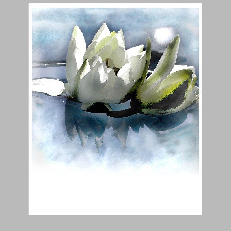water lily, Digital Art ivan georgiev