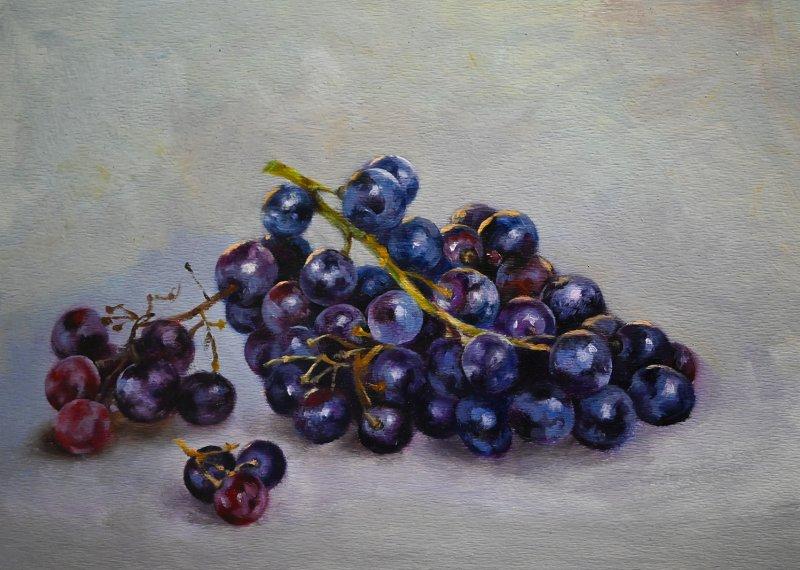 Still Life with Dark Grapes