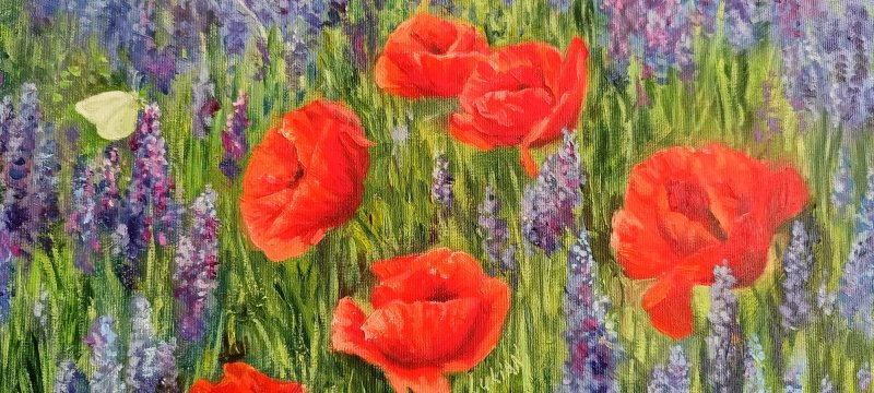 Poppies in Lavender Field, Painting Alena Savchenko - Lukian