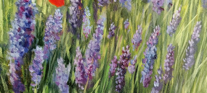 Poppies in Lavender Field, Painting Alena Savchenko - Lukian