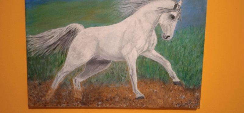 White horse